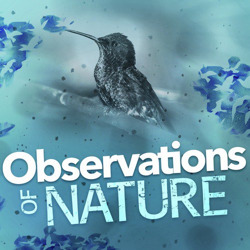 Observations of Nature_poster_image