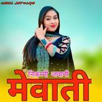 निकम्मी जवानी मेवाती