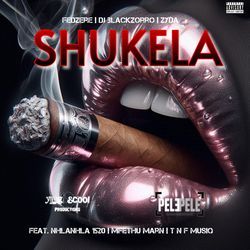 Shukela (feat. Nhlanhla 1520, Mfethu Marn &amp; T n F MusiQ) (Deluxe Version)