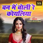 Van Main Boli Re Koyaliya