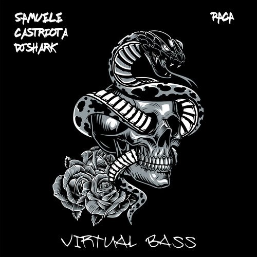 Virtual Bass_poster_image