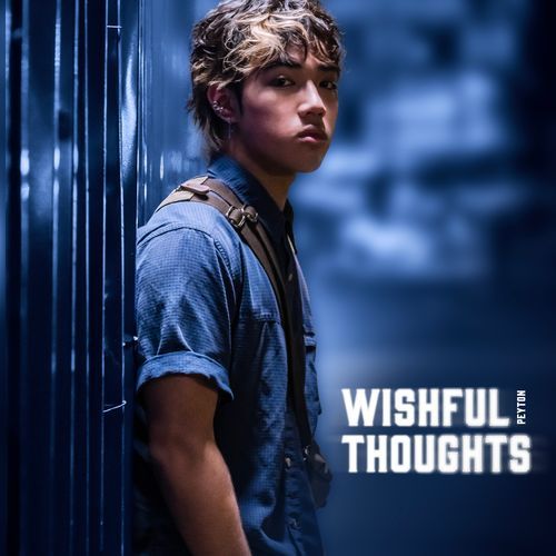 Wishful Thoughts_poster_image