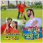 Yara Teri Yaari Ne (Hindi)