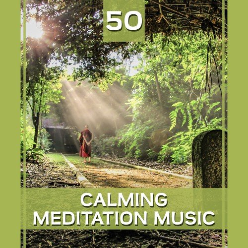 50 Calming Meditation Music: Perfect Balance, Spiritual Enlightenment, Buddhist Mantras, Chakra Healing, Classical Indian Flute, Yoga & Reiki Music