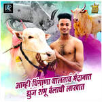 Aamhi Dhinghana Ghaltav Maidanat Jhunj Shambu Bailachi Lakhat