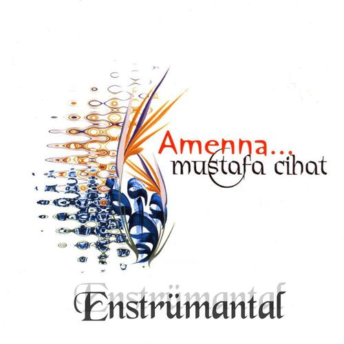 Seni Anlatamam