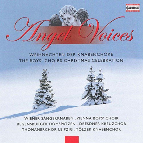 Angel Voices: The Boys' Choirs Christmas Celebration