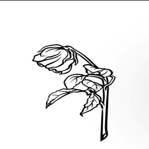 right back cover art