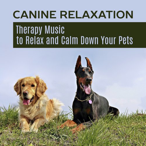 Dog Zone cover art