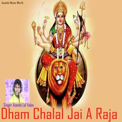 Dham Chalal Jai A Raja-HyEldwFlVHs