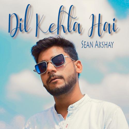 Dil Kehta Hai_poster_image