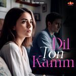 Dil Ton Kamm