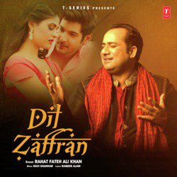 Dil Zaffran-Hz0dAxIHaB4