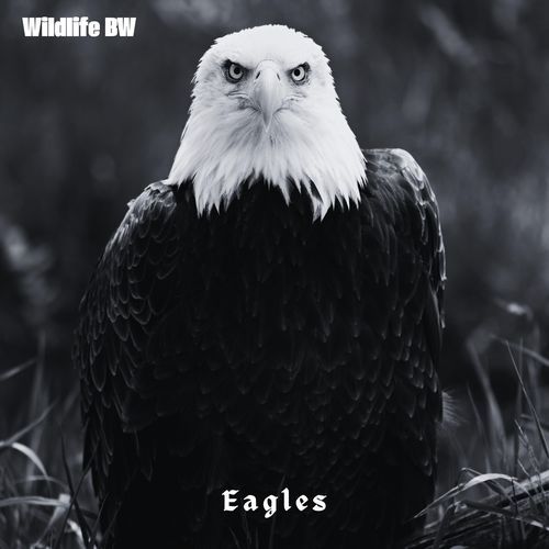 Eagles
