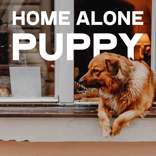 Pet Relax Academy cover art