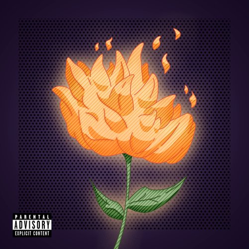 Zimmer cover art