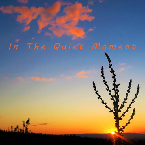 In The Quiet Moment_poster_image