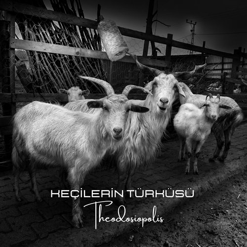 Keçilerin Türküsü cover art