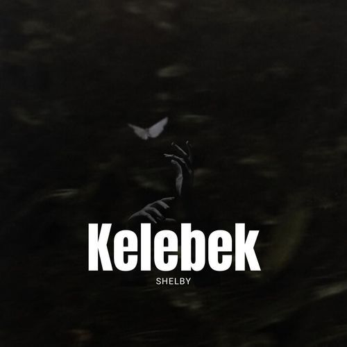 Kelebek