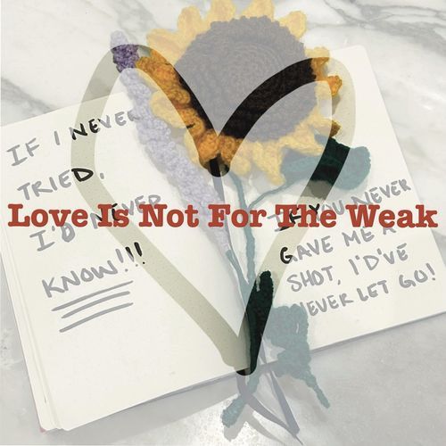 Love Is Not for the Weak (feat. Hassan Iqbal) cover art