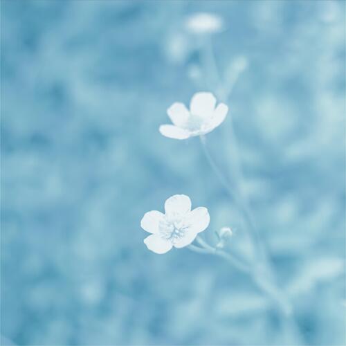 养生馆治愈纯音乐 cover art
