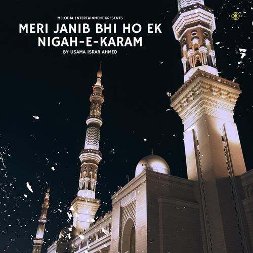 Meri Janib Bhi Ho Ek Nigah-e-Karam_poster_image