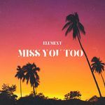 Miss You Too