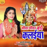 Mitha Mitha Bathe Kalaeiya - Saloni Vishwakarma | Wins Films (Bol Bum Bhakti Song)