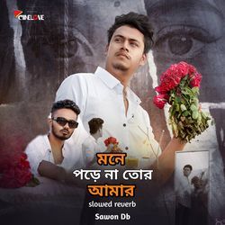 Mone Pore Na Tor Amar (Slowed Reverb)