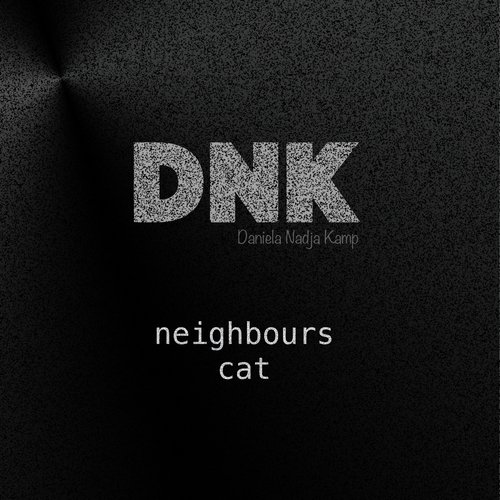 Neighbours Cat