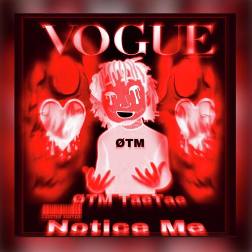 13k cover art