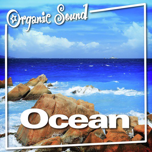 Ocean (Nature Sounds)_poster_image