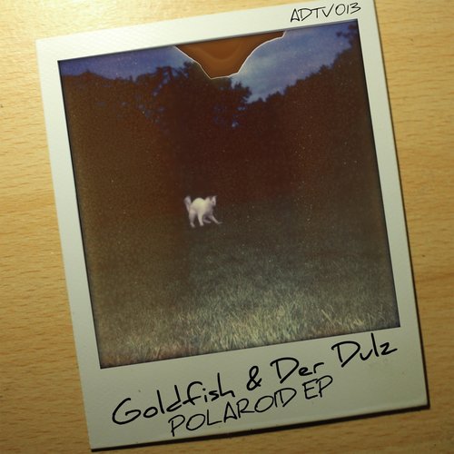 Floby (Die Vogelperspektive Remix) cover art