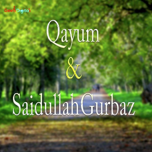 Qayum Aw Saidullah Gurbaz