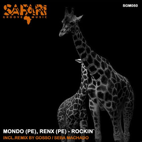 Rokin` (Seba Machado Remix) cover art