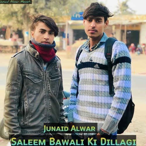Saleem Bawali Ki Dillagi