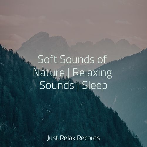 Soft Sounds of Nature | Relaxing Sounds | Sleep