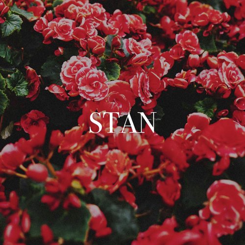 Stan