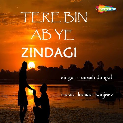 Tere Bin Ab Ye Zindagi