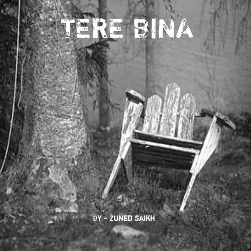 Tere Bina