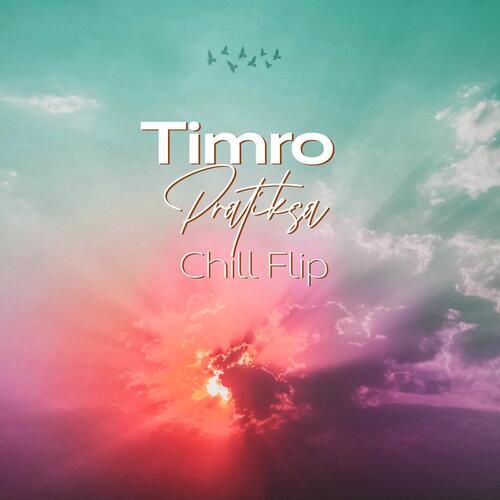 Timro Pratiksa - Chill Flip_poster_image