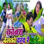 Tor Kobra Delko Darad Re