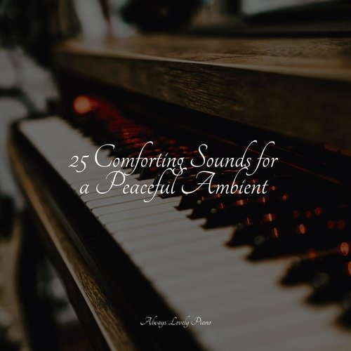 25 Comforting Sounds for a Peaceful Ambient