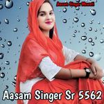 Aasam Singer Sr 5562