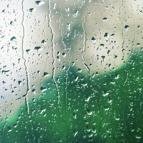 Ambient Soundscapes: Rainforest Rain
