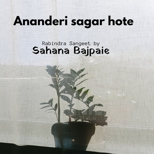 Ananderi sagar hote