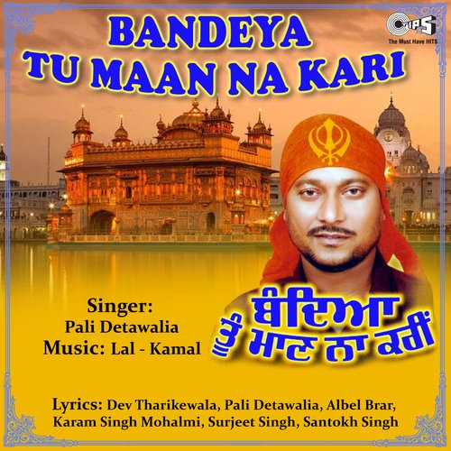 Jhande Kesari Jhulaune By Pali Detawalia cover art