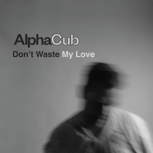 Don't Waste My Love