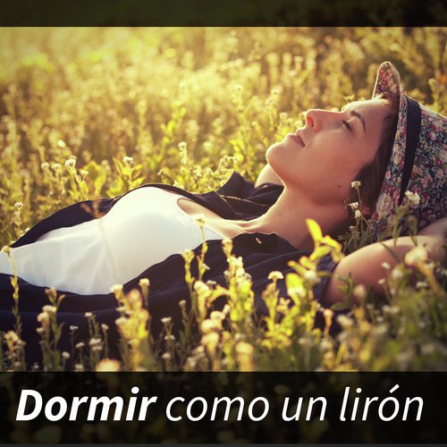 Canciones para Sanar el Alma cover art