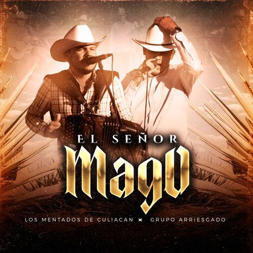 El Señor Mago (En vivo)_poster_image